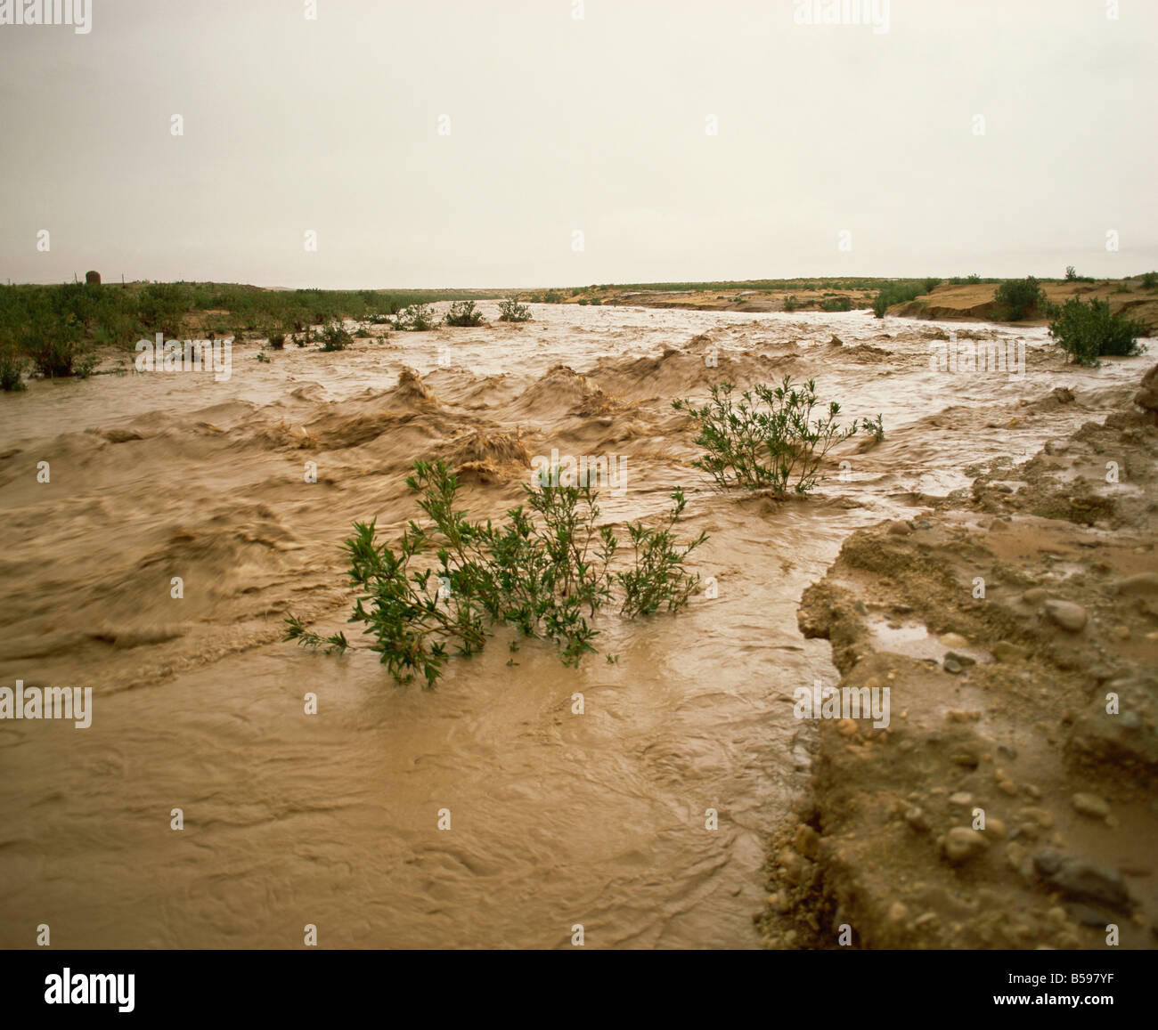 Inondazione a oued il letto del fiume in normalmente secca Sahara algerino regione Algeria Nord Africa Africa Foto Stock