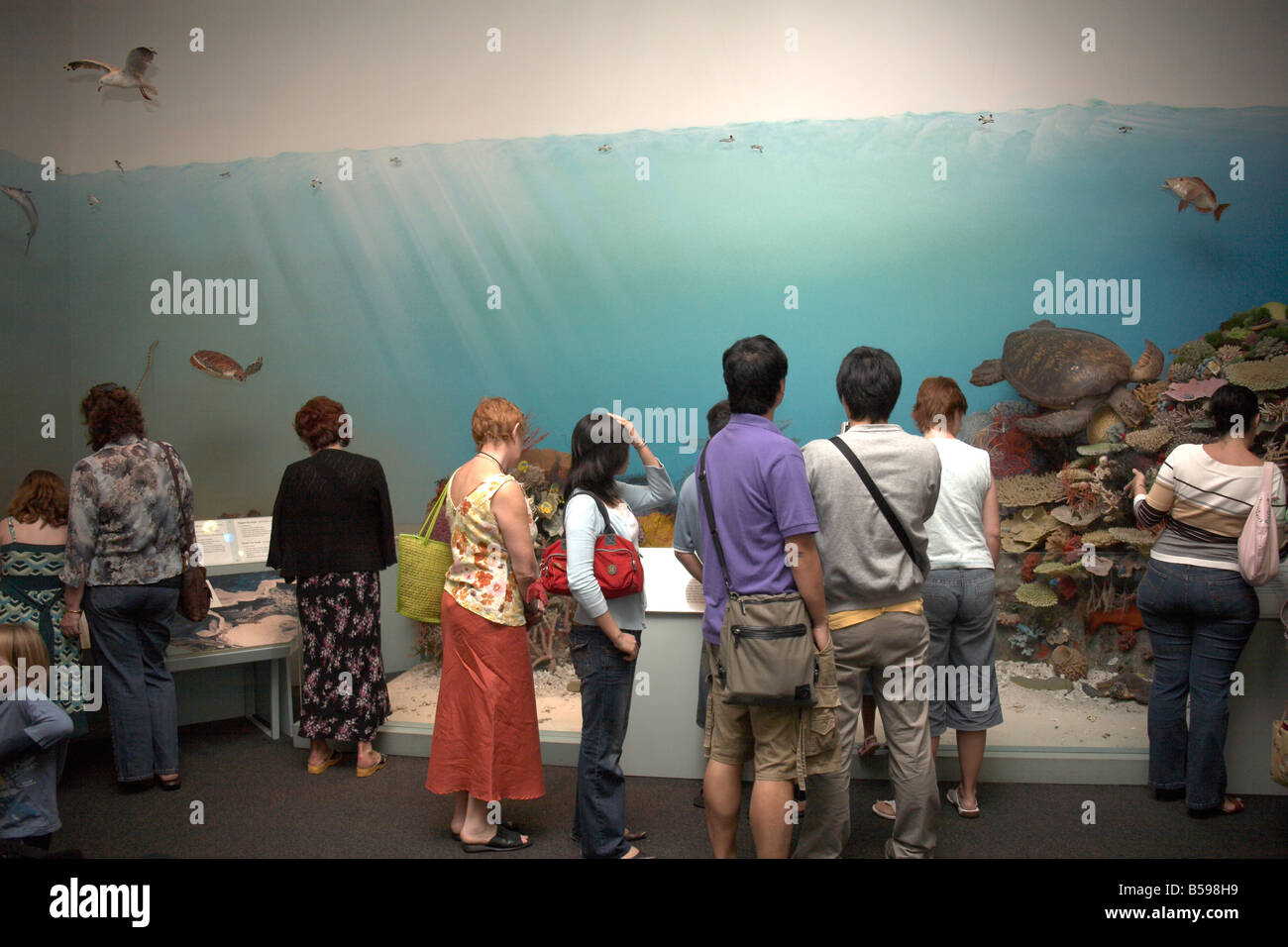 Museum persone ai visitatori la vita del mare in Brisbane Queensland QLD Australia Foto Stock