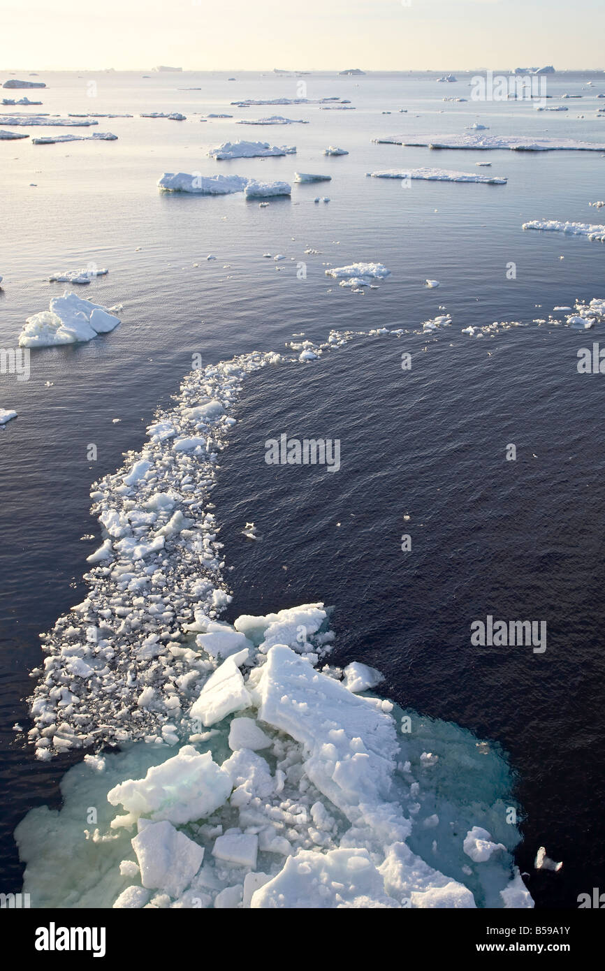Iceberg off Penisola Antartica, Antartide, regioni polari Foto Stock