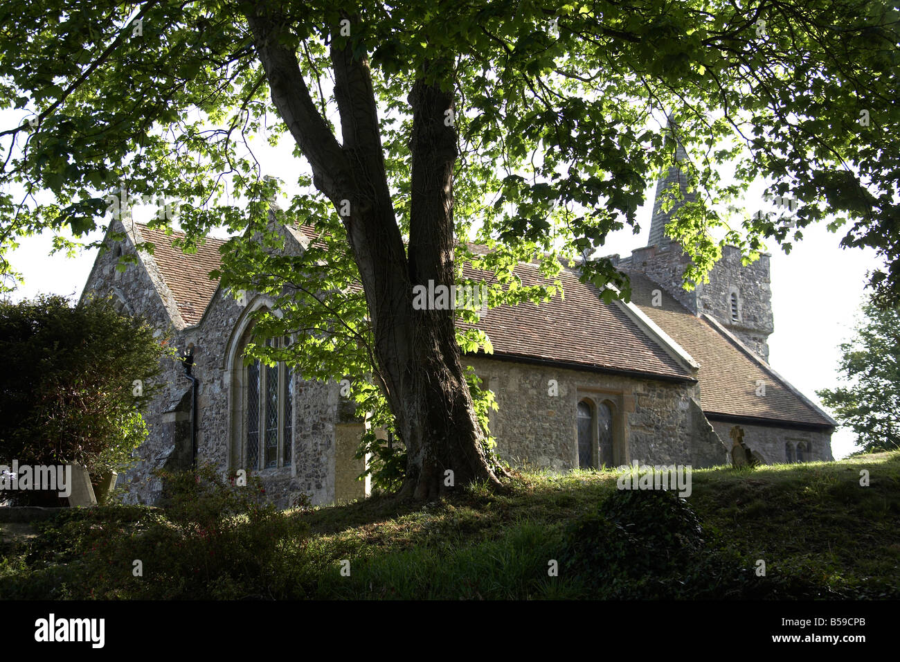 La Chiesa Parrocchiale di San Pietro e di San Paolo attraverso gli alberi in una serata estiva in villaggio Mottistone Isle of Wight England Regno Unito Foto Stock