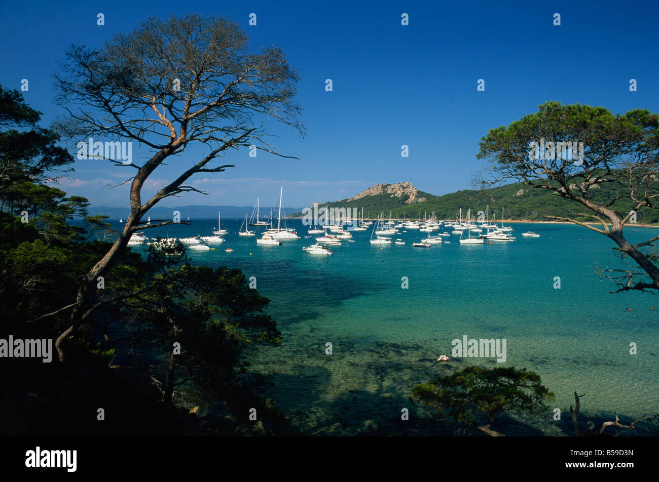 Barche ancorate in bay off La Plage Notre Dame, l'Ile de Porquerolles, Hyeres, Var, Cote d'Azur, Provenza, Francia, Mediterranea Foto Stock