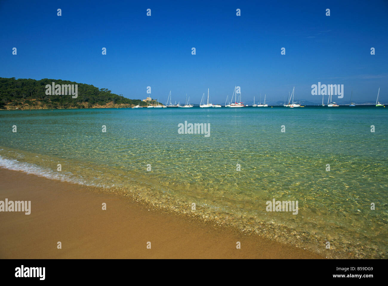 Acque color turchese spento la Plage Notre Dame, l'Ile de Porquerolles, vicino a Hyeres, Var, Cote d'Azur, Provenza, Francia, Mediterranea Foto Stock