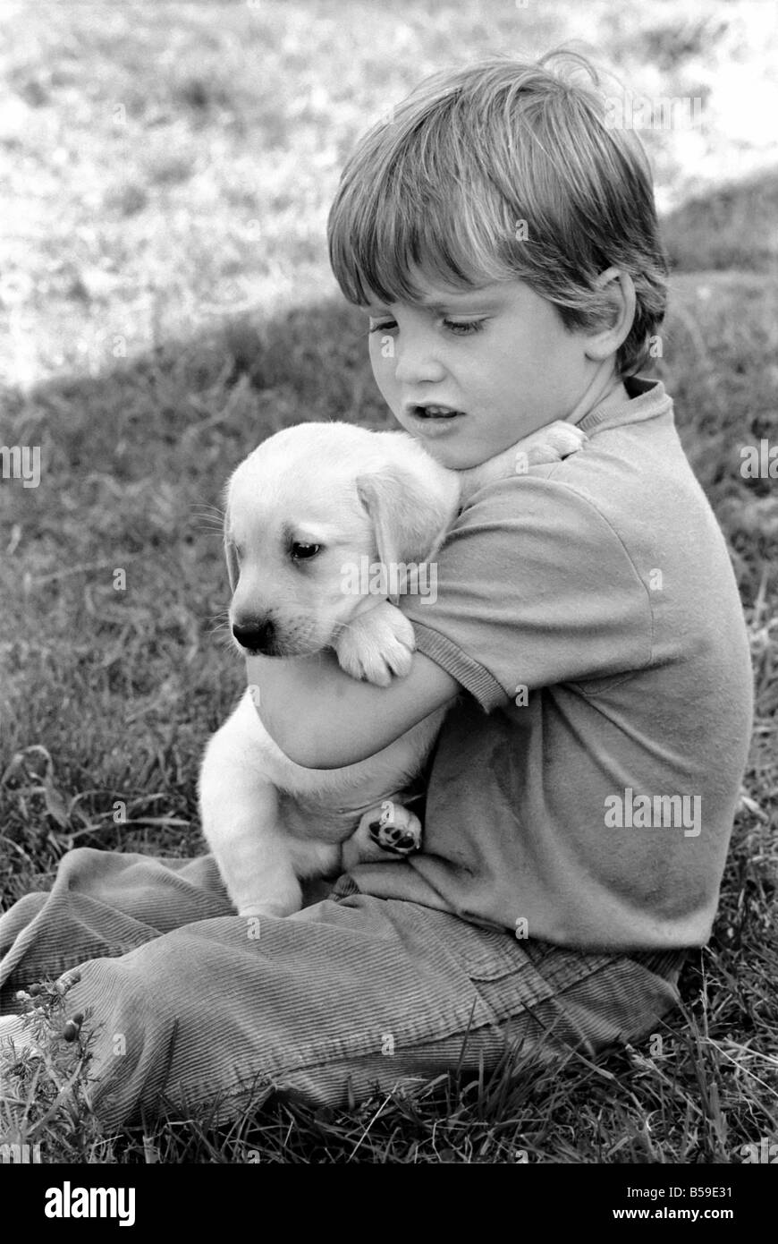 Un giovane ragazzo con un cucciolo di Labrador a Frant cucce in York vicino a Tonbridge che hanno tutti i tipi di cuccioli e cani in stabilimento. Essi sono tutti pedigree. Agosto 1977 77-04328-007 Foto Stock