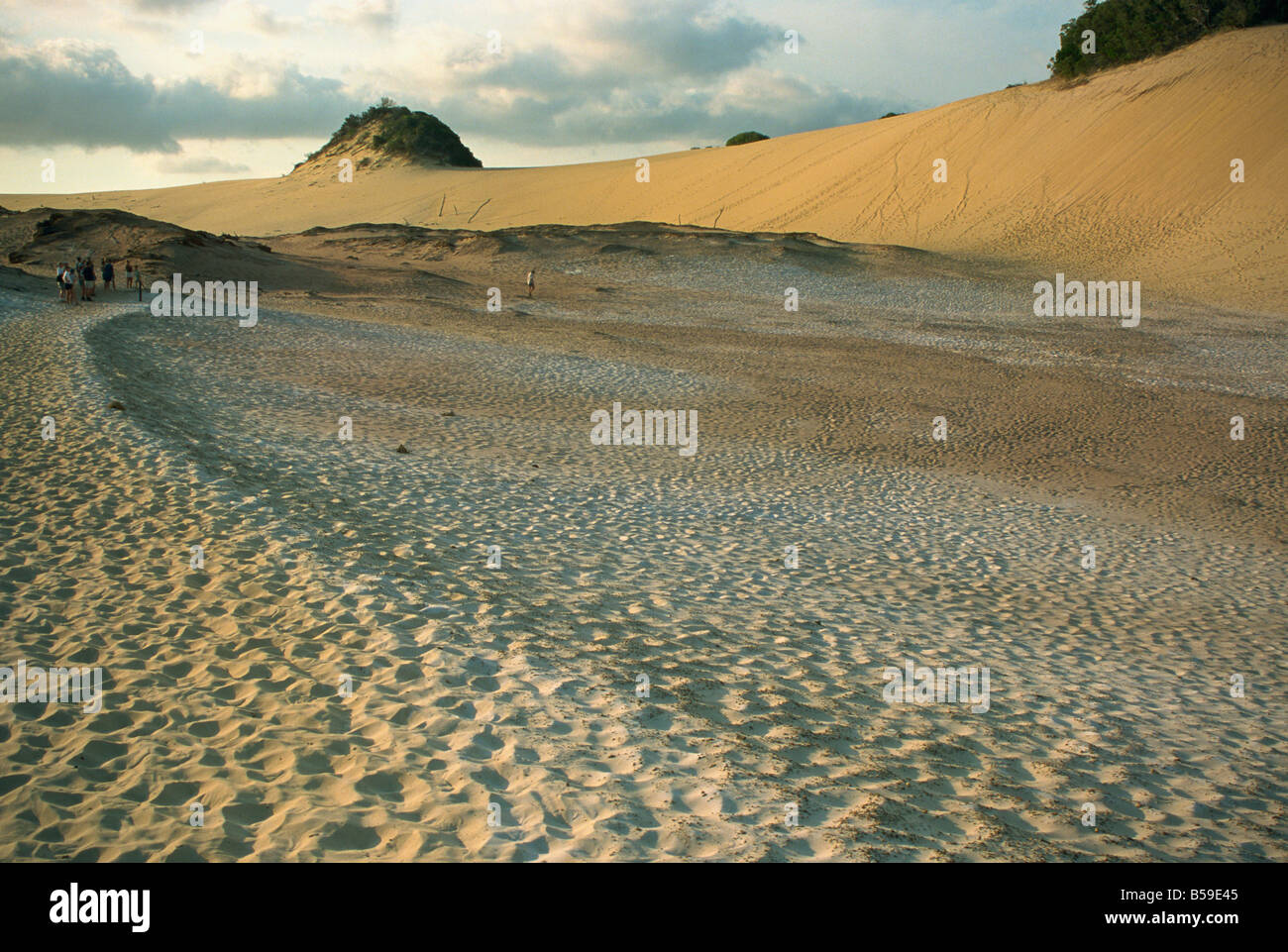 Great Sandy National Park Fraser Island UNESCO World Heritage Site Queensland Australia Pacific Foto Stock