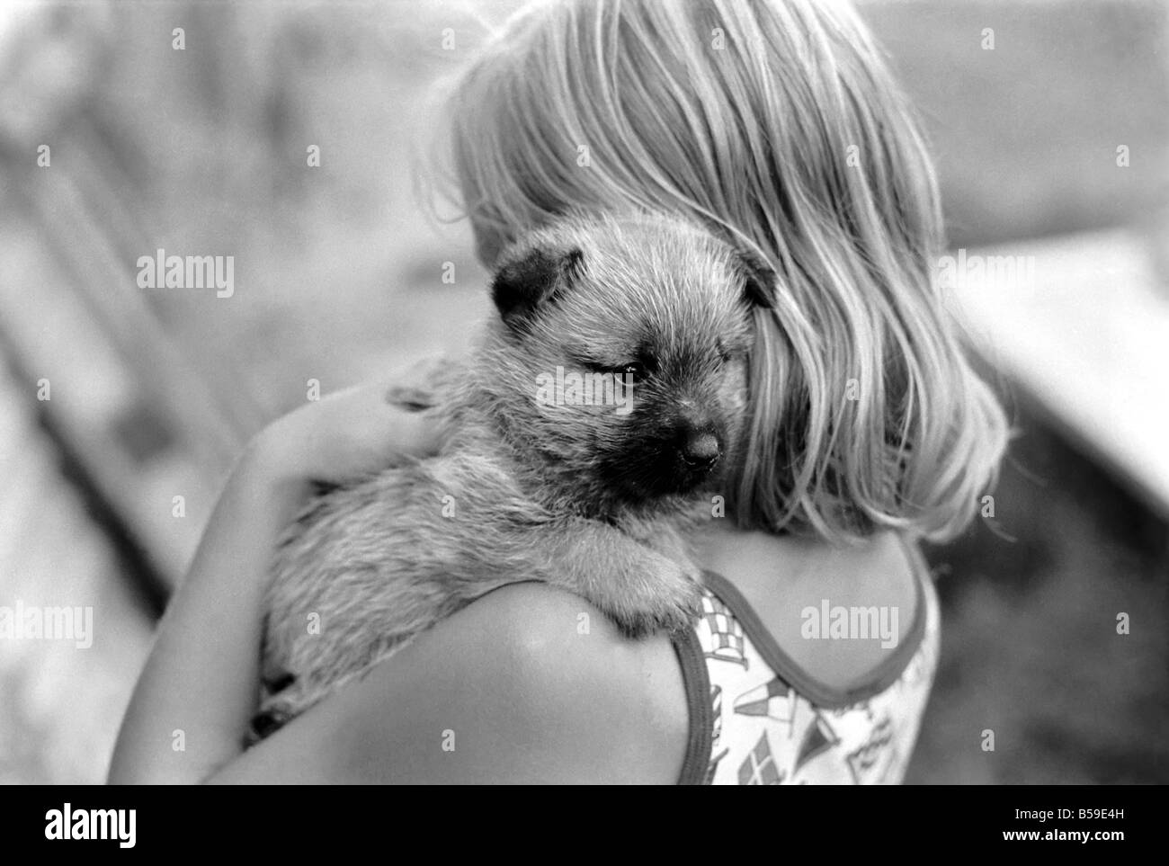 Ragazza con un Cocker Spaniel Pup a Frant cucce in York vicino a Tonbridge che hanno tutti i tipi di cuccioli e cani in stabilimento. Essi sono tutti pedigree. ;Agosto 1977 ;77-04328 Foto Stock