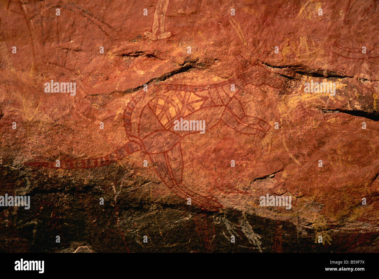 X-ray pittura di stile di un wallaby all'arte rupestre degli Aborigeni sito a Ubirr Rock, Territorio del Nord, l'Australia Foto Stock