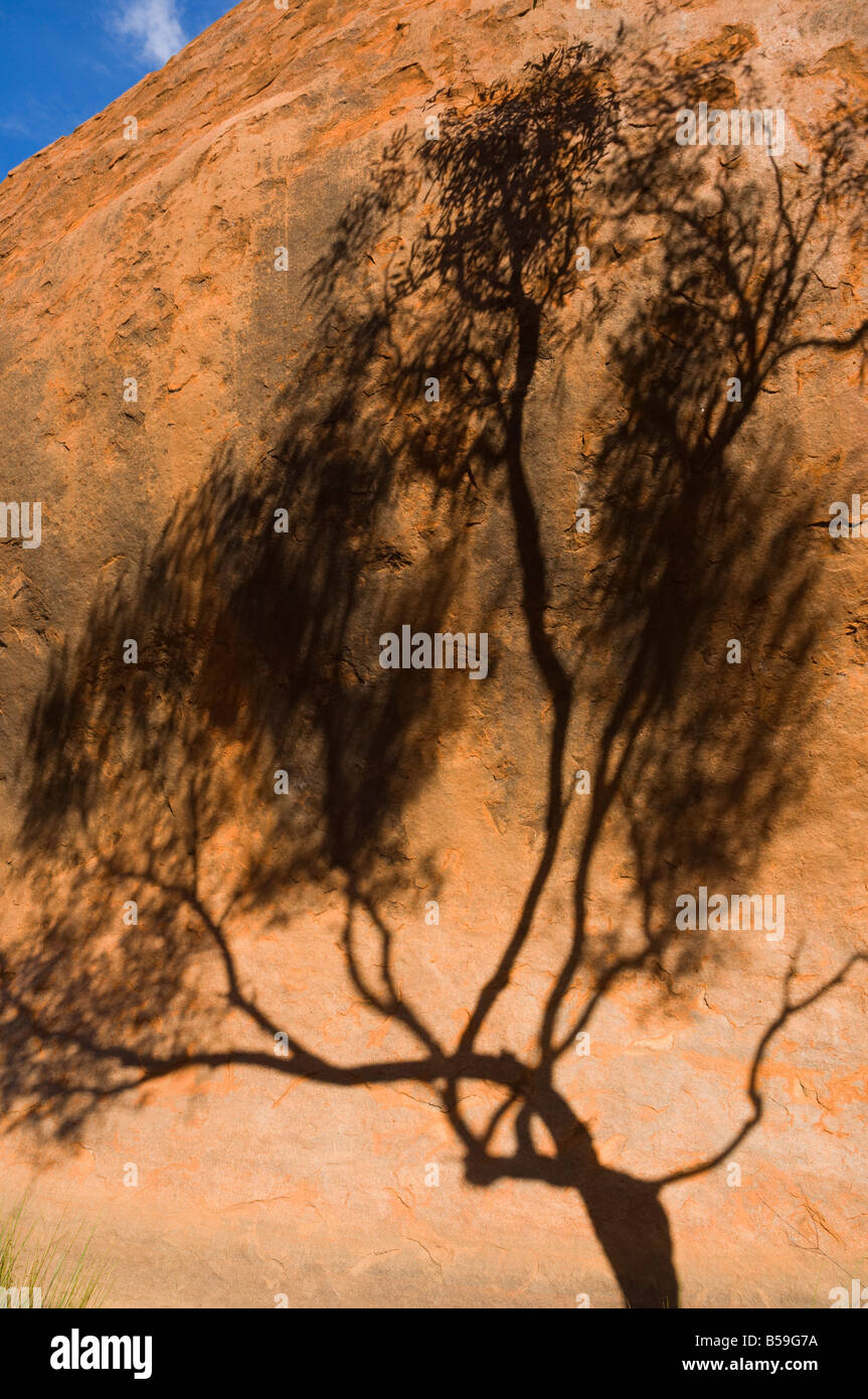 Ombra di albero su Uluru (Ayers Rock), Uluru-Kata Tjuta National Park, il Territorio del Nord, l'Australia, il Pacifico Foto Stock