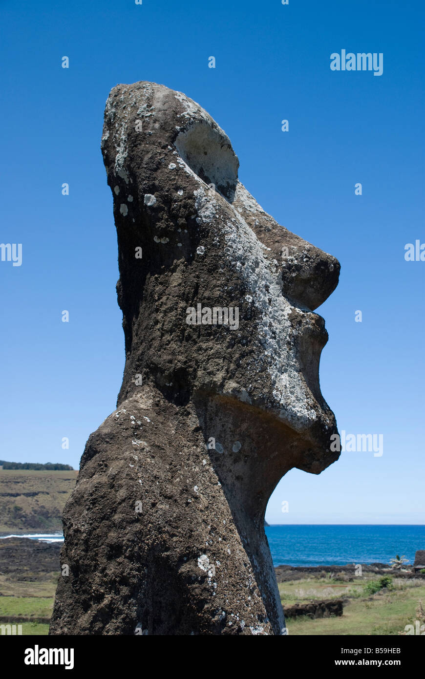 Una delle famose teste scolpite di Isola di Pasqua Foto Stock