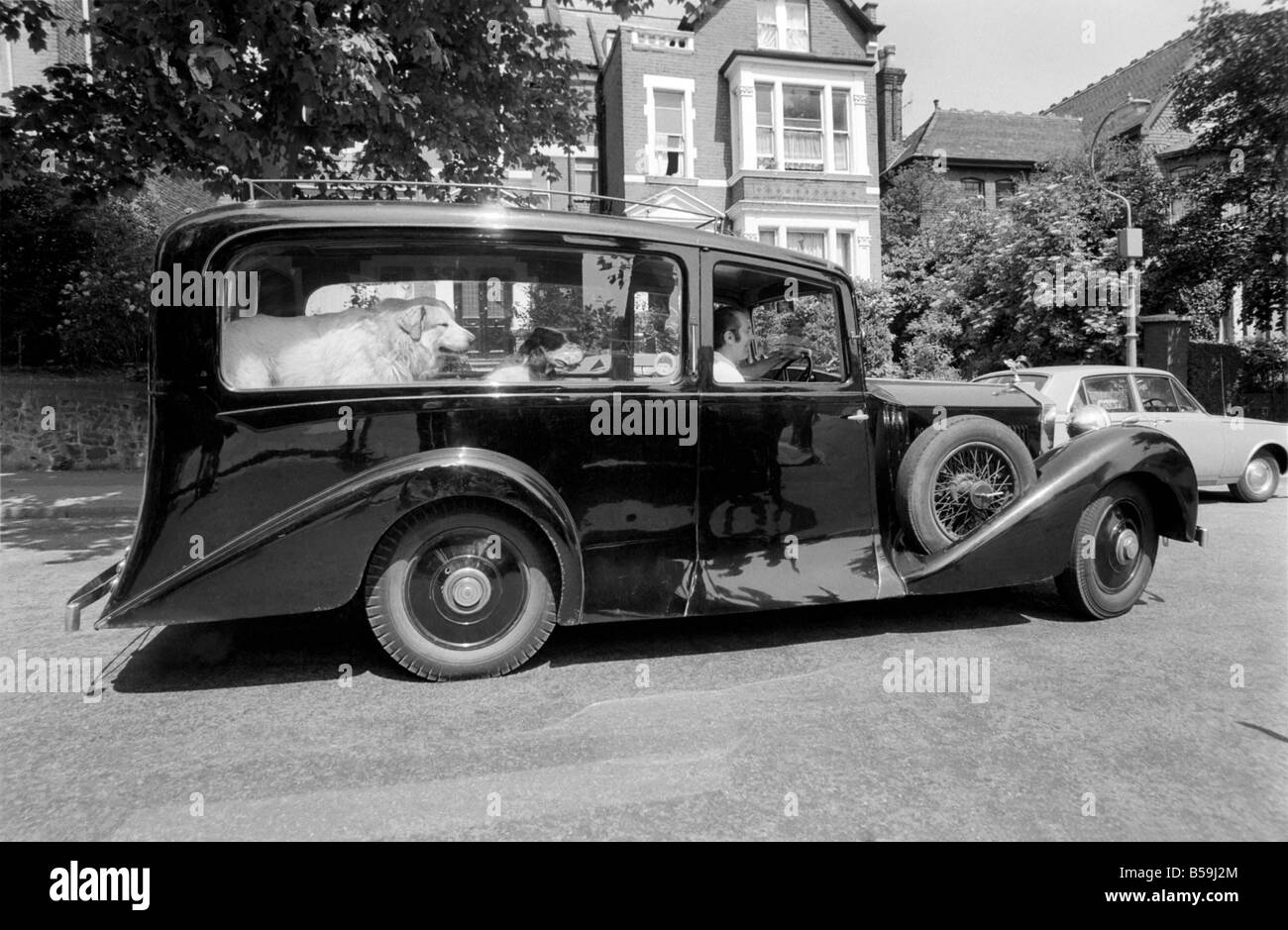 Inusuale. Umorismo. Animali. Diciotto mesi fa il sig. Harry giovani di Crouch Hill ha acquistato un 1934 Rolls Royce funebre da un cantiere di scarto in Hornchurch, Essex. Egli ha acquistato i rotoli a prendere i suoi due cani per un drive Foto Stock