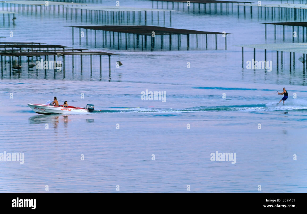 Sci d'acqua e OYSTER FARM "Bassin de Thau' BASIN LANGUEDOC FRANCIA Foto Stock