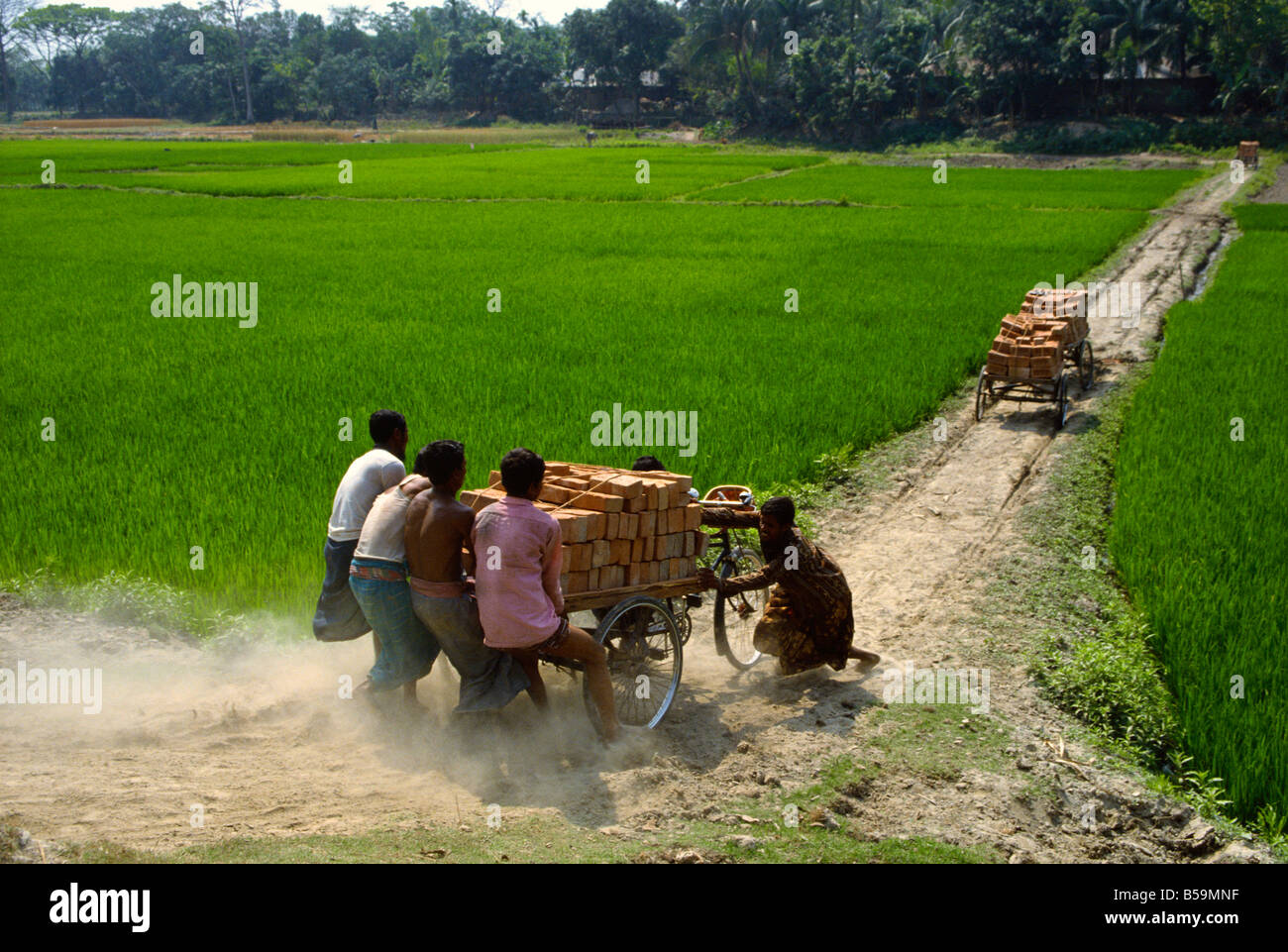 Carrate di mattoni, Bangladesh Foto Stock