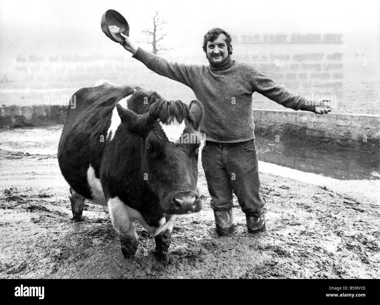 Stuart Smith con Daisy, la vacca Frisone i cui sforzi sarà mantenere un Royal appuntamento. ;Gennaio 1980 ;P007914 Foto Stock
