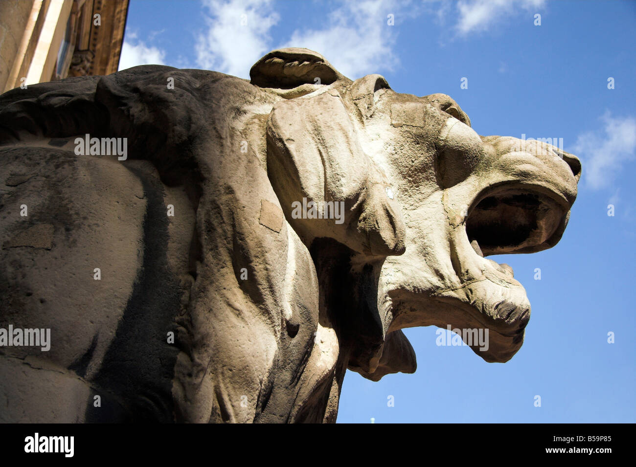 Statua di Lion, Royal Palace cortile, la Collina del Castello di Buda, Città Vecchia, Budapest, Ungheria Foto Stock