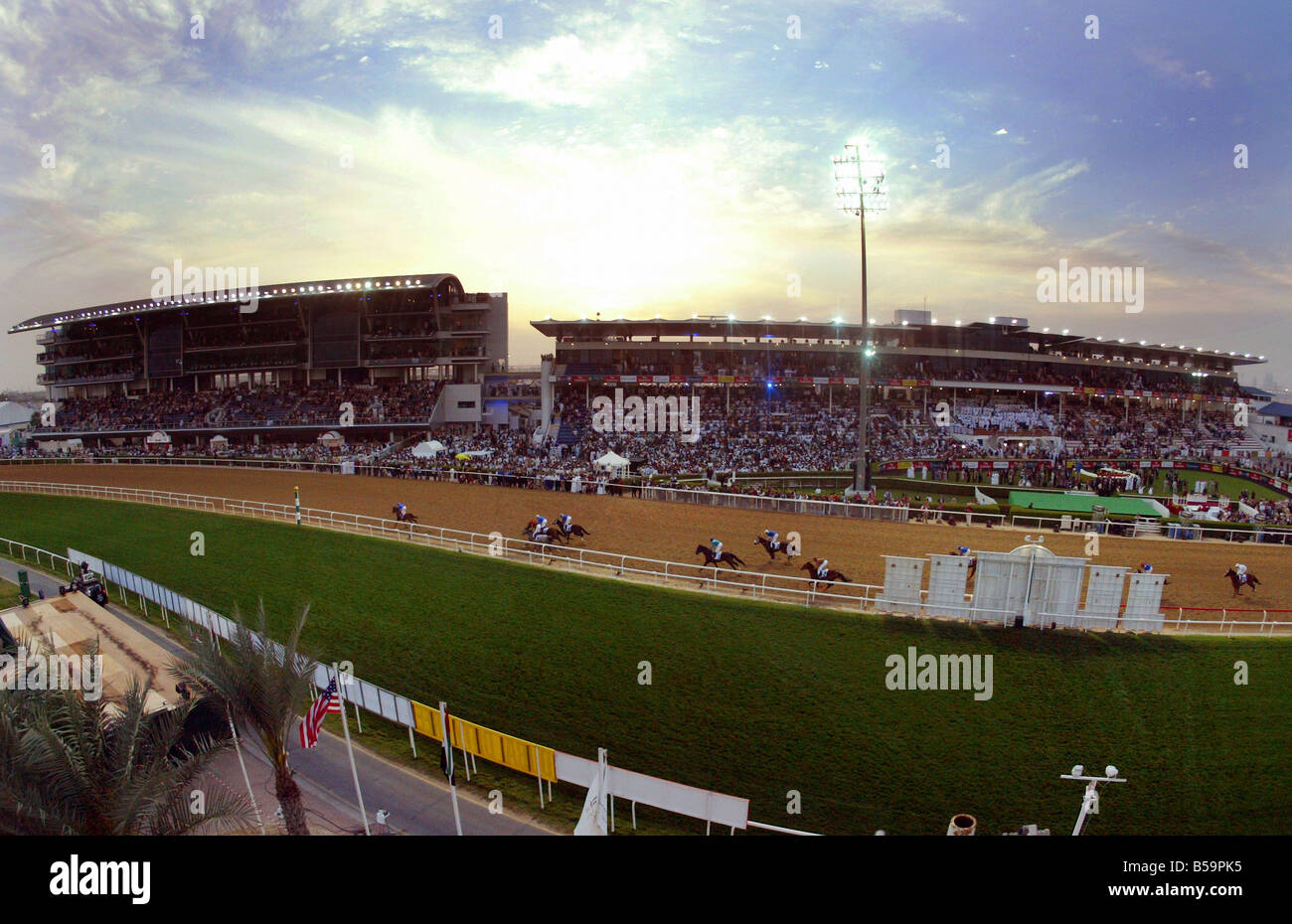 Il Nad Al Sheba cavallo di razza in corso, Dubai, Emirati Arabi Uniti Foto Stock