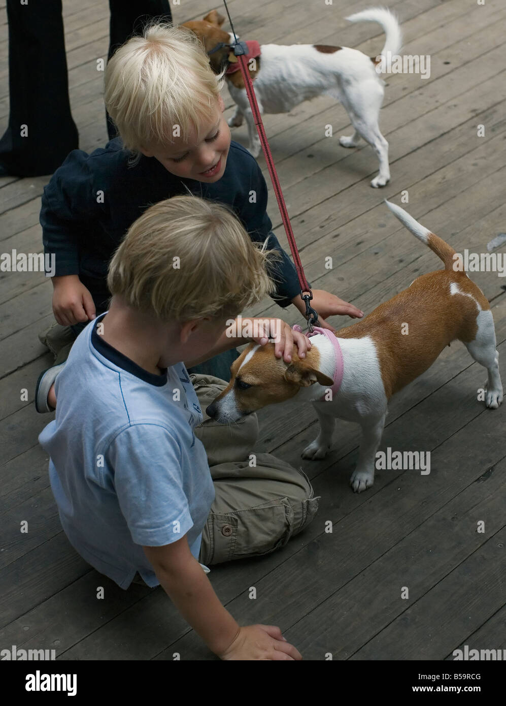 Due ragazzi poco corsa amorevolmente un cane da compagnia. Foto Stock