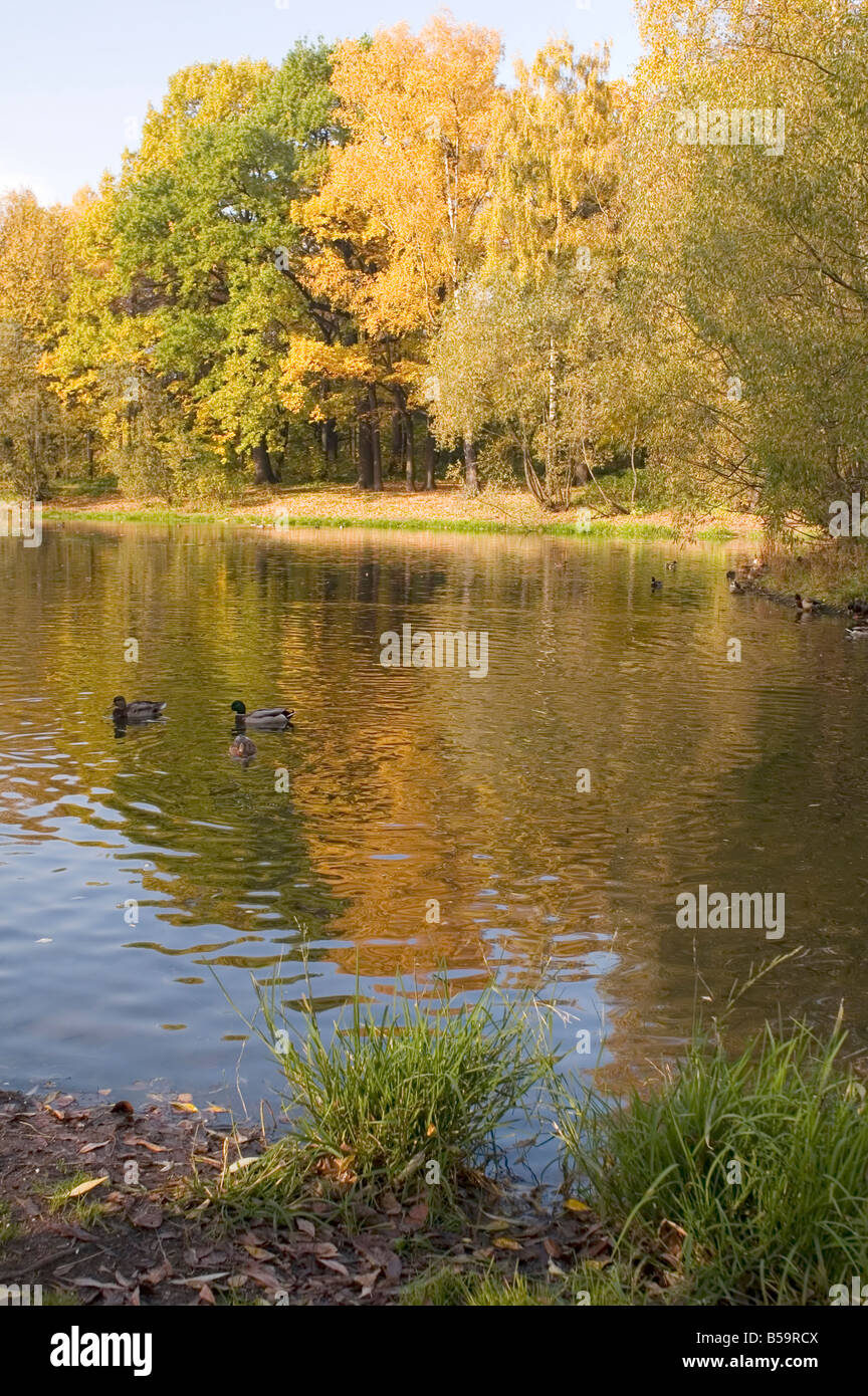 I colori dell'Autunno nel parco di Mosca Foto Stock