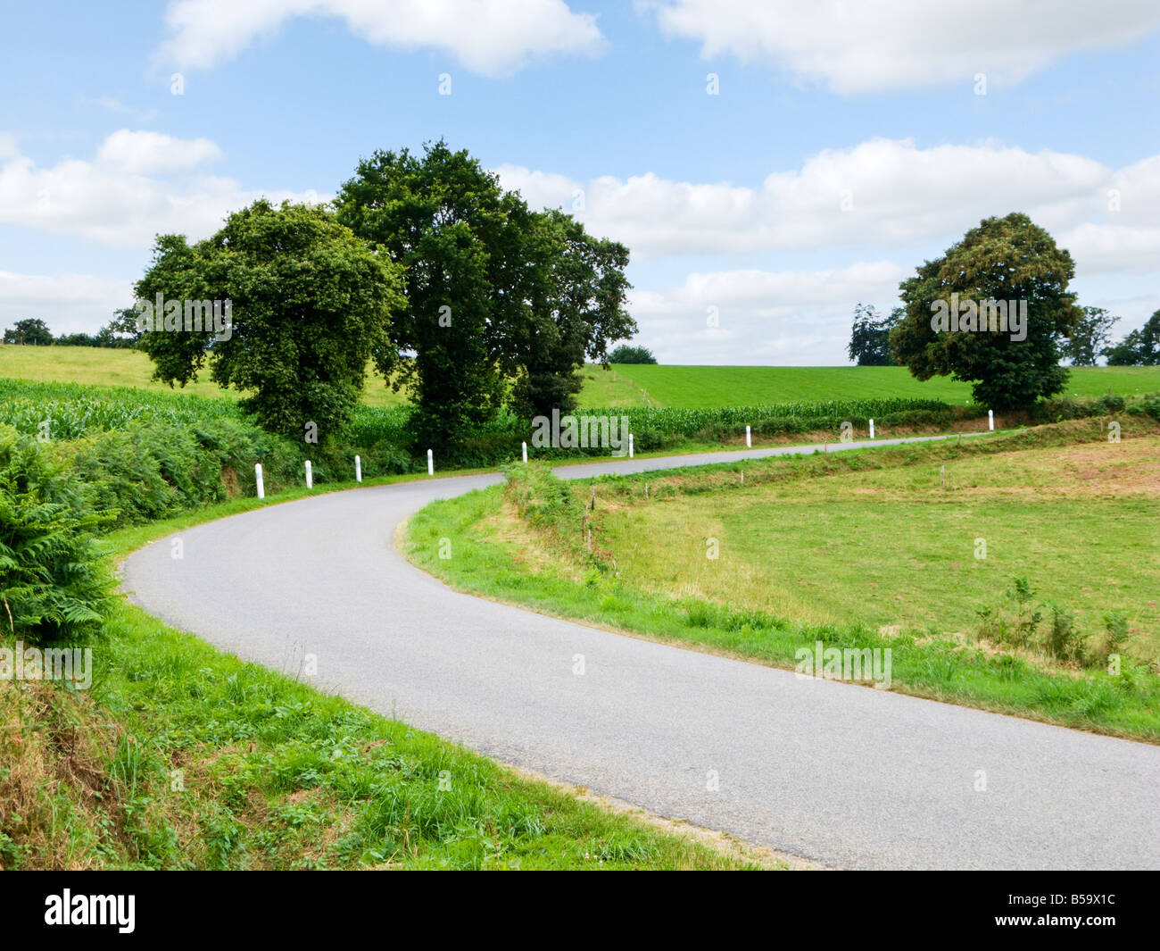 Una curva in un paese rurale road Foto Stock