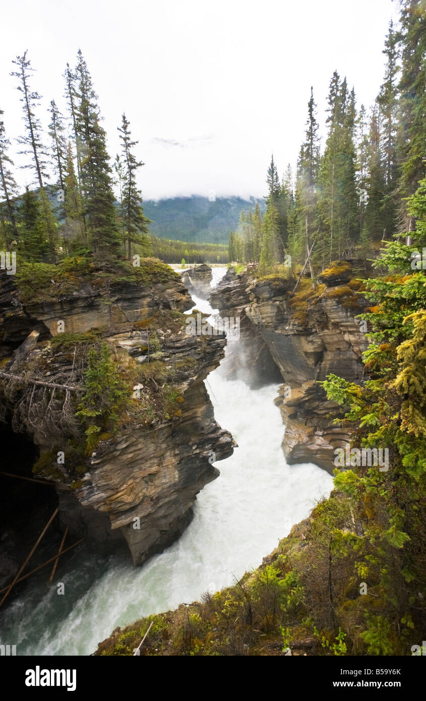 Cascate Athabasca off Icefields Parkway nel Parco Nazionale di Jasper Alberta Canada Foto Stock