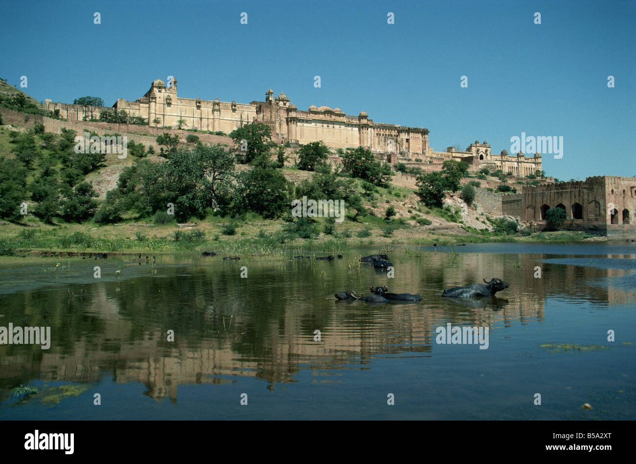 Ambra Palace, vicino a Jaipur, stato del Rajasthan, India Foto Stock