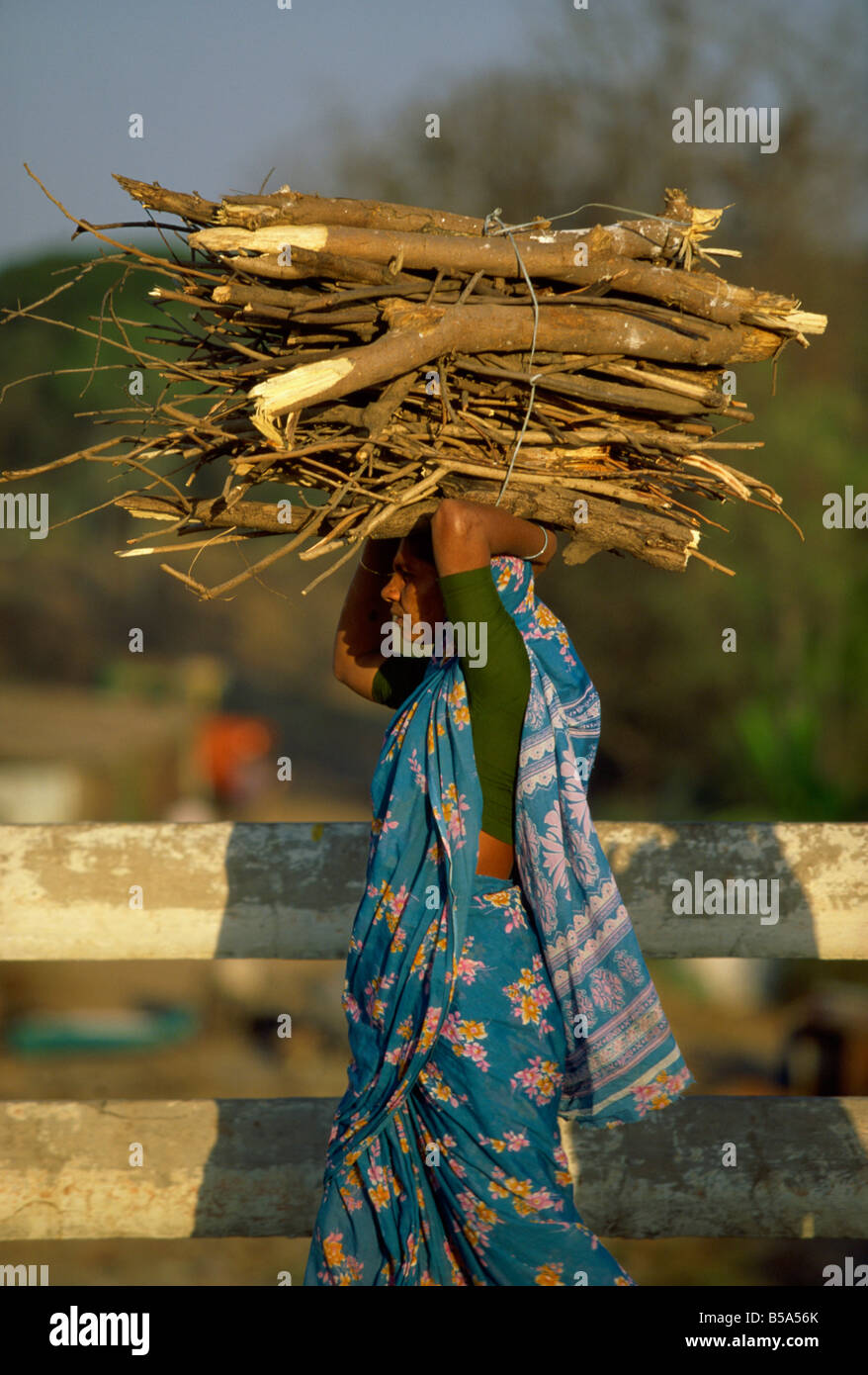 Donna che trasportano legna da ardere di Pune, nello stato del Maharashtra, India Foto Stock