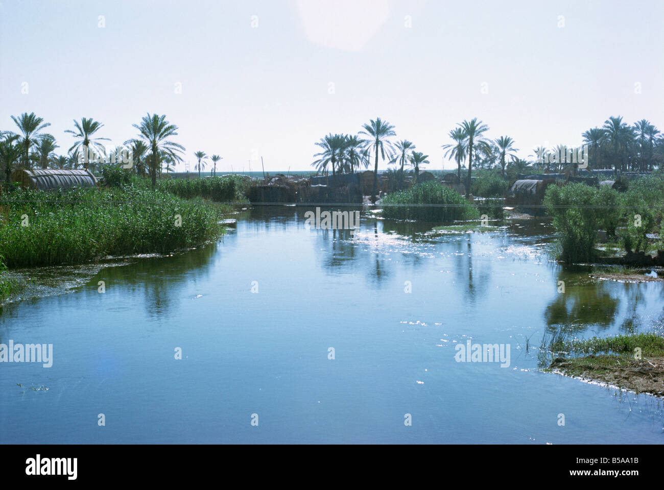 Villaggio della Marsh Arabs prese negli anni settanta in Iraq Medio Oriente Foto Stock