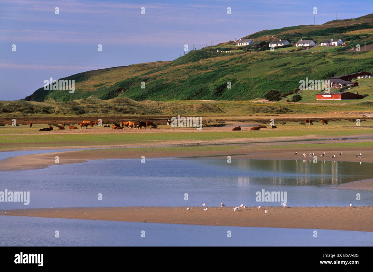 Orzo Cove, nei pressi di pasta, Mizen peninsula, County Cork, Munster, Repubblica di Irlanda, Europa Foto Stock