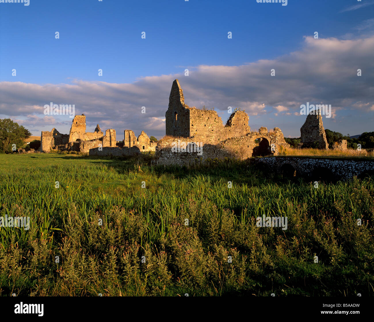 Athassel Priory, una volta che il più grande monastero in Irlanda, vicino Cashel, nella contea di Tipperary, Munster, Repubblica di Irlanda Foto Stock