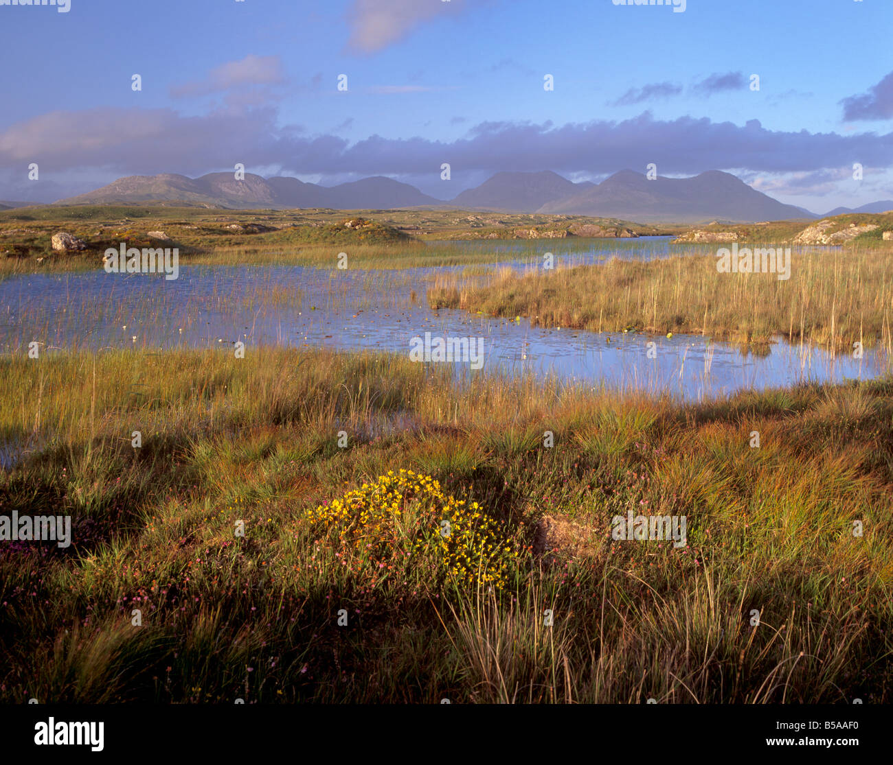 Ballynahinch Lago e dodici perni, vicino a Clifden, Connemara, nella contea di Galway, Connacht, Repubblica di Irlanda, Europa Foto Stock