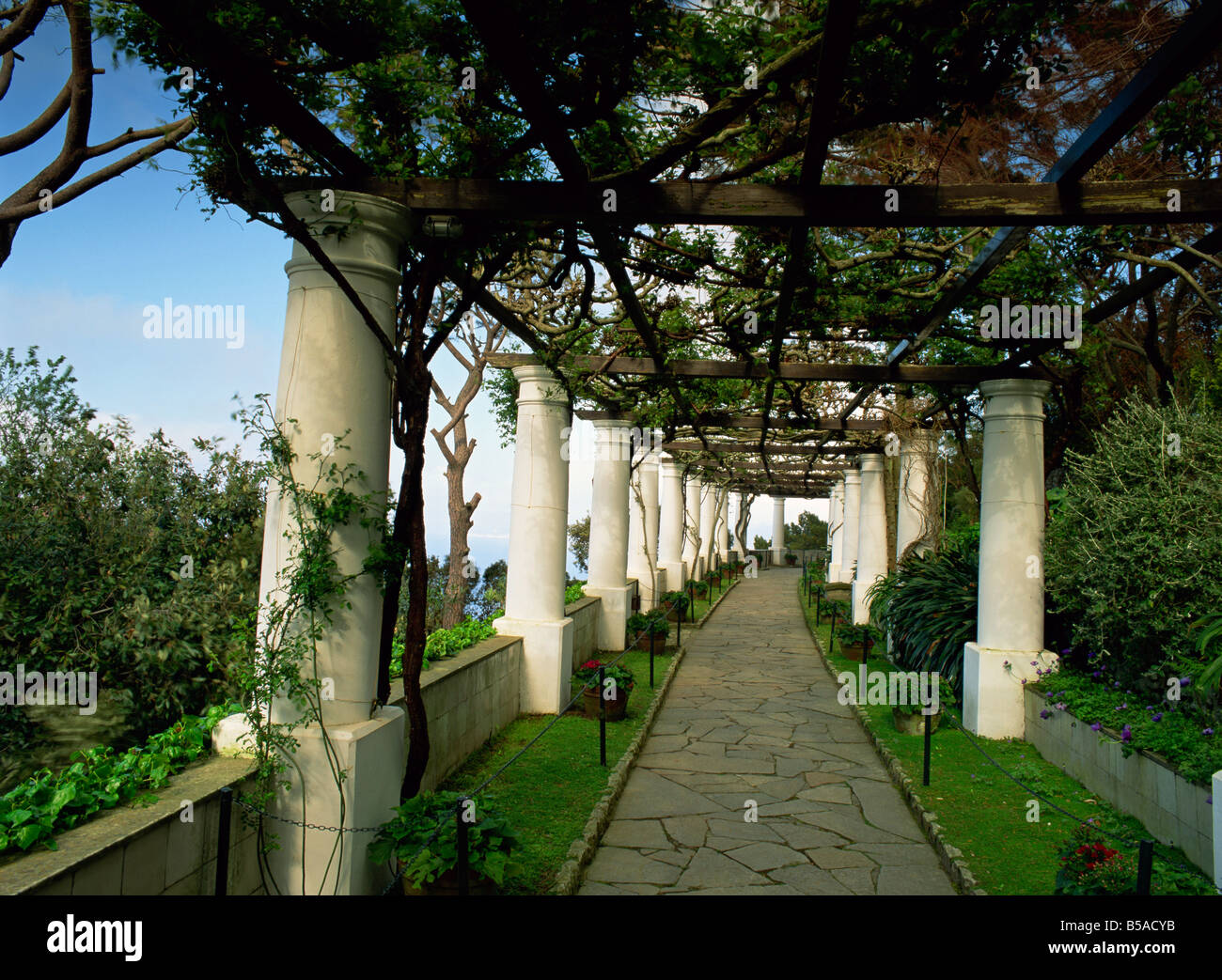 Giardino di Axel Munthe s House Isola di Capri Italia Europa Foto Stock