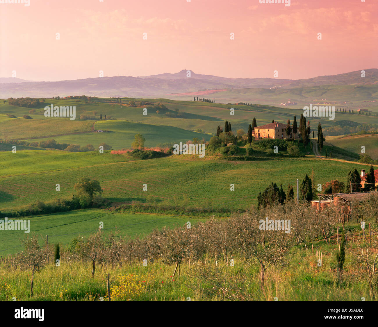 Il paesaggio nei pressi di San Quirico d'Orcia, Toscana, Italia, Europa Foto Stock