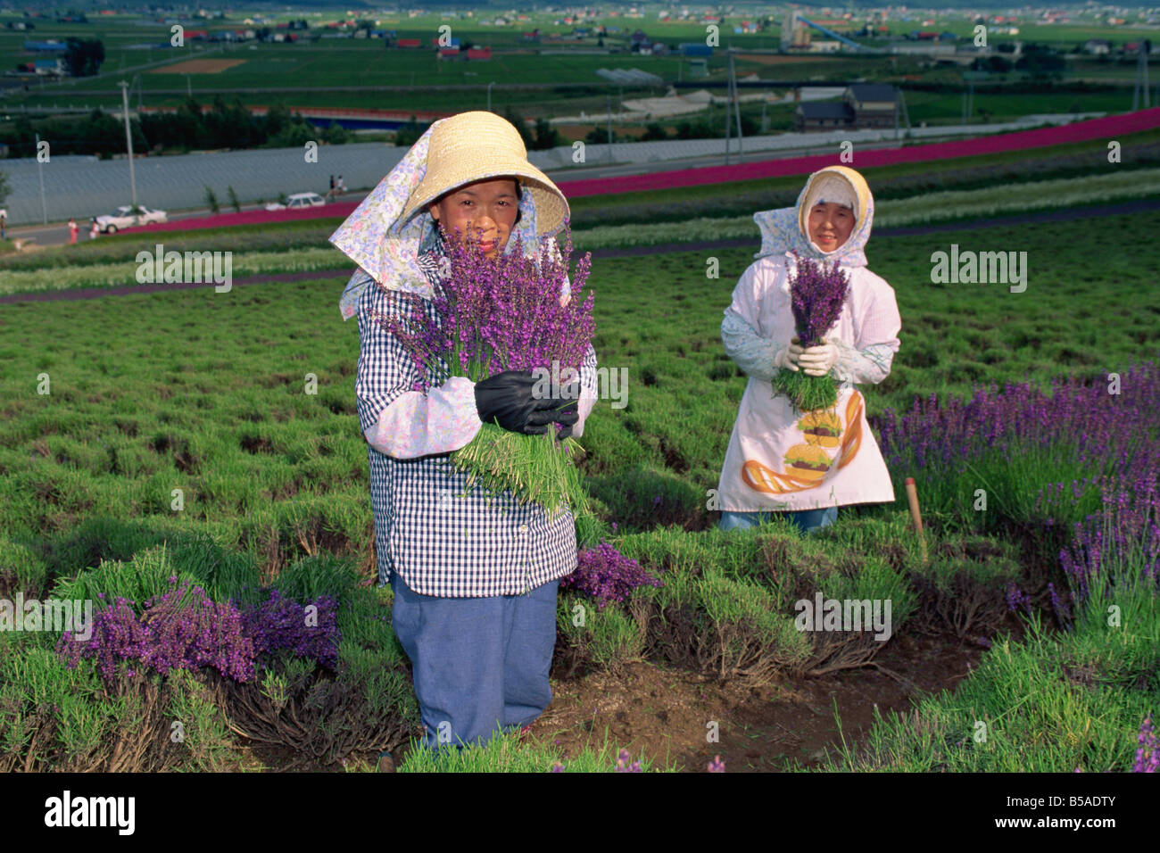 Ritratto di donne al lavoro nel campo di lavanda Furano Hokkado Giappone G Hellier Foto Stock