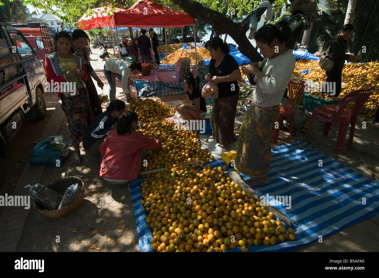 Arance nel mercato, Luang Prabang, Laos, Indocina, sud-est asiatico Foto Stock