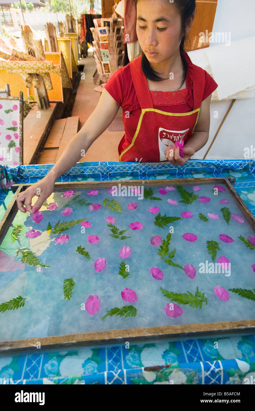 La produzione di carta in un villaggio vicino a Luang Prabang, Laos, Indocina, sud-est asiatico Foto Stock La produzione di carta in un villaggio vicino a Luang Prabang, Laos, Indocina, sud-est asiatico Foto Stock