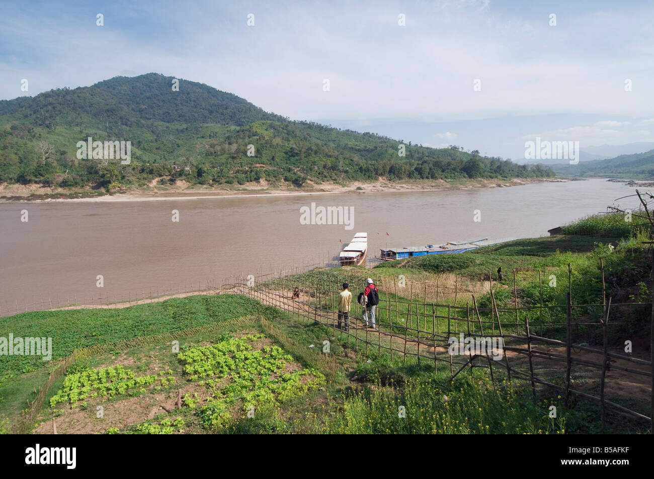 Colture sul lato del fiume Mekong al Gom Dturn, a Lao Luong villaggio nella zona del Triangolo d'oro di Laos, Indocina, sud-est asiatico Foto Stock Colture sul lato del fiume Mekong al Gom Dturn, a Lao Luong villaggio nella zona del Triangolo d'oro di Laos, Indocina, sud-est asiatico Foto Stock