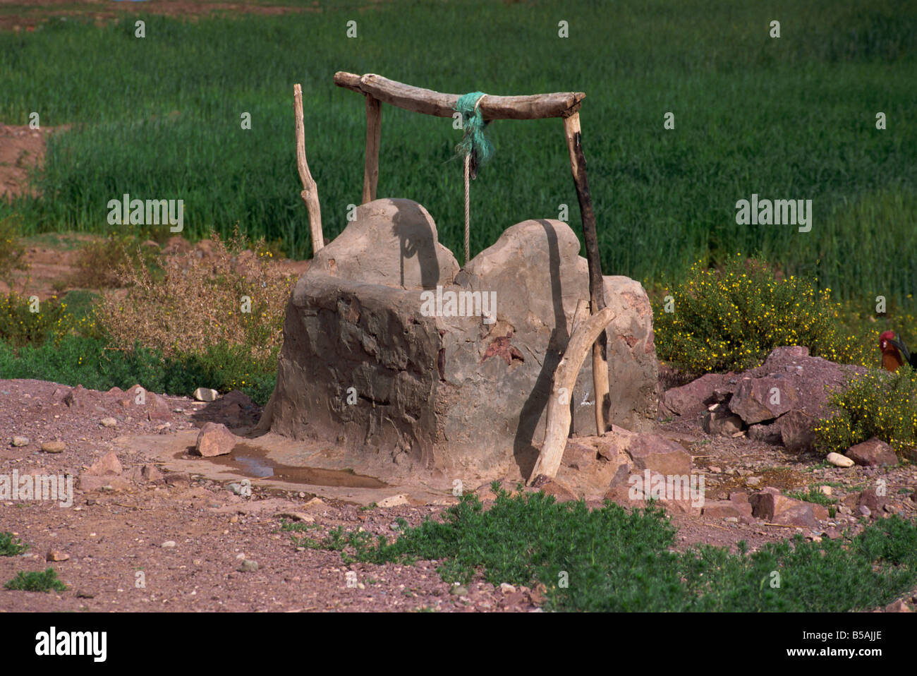 Antica fattoria ben Skoura oasi Marocco Africa G Thouvenin Foto Stock