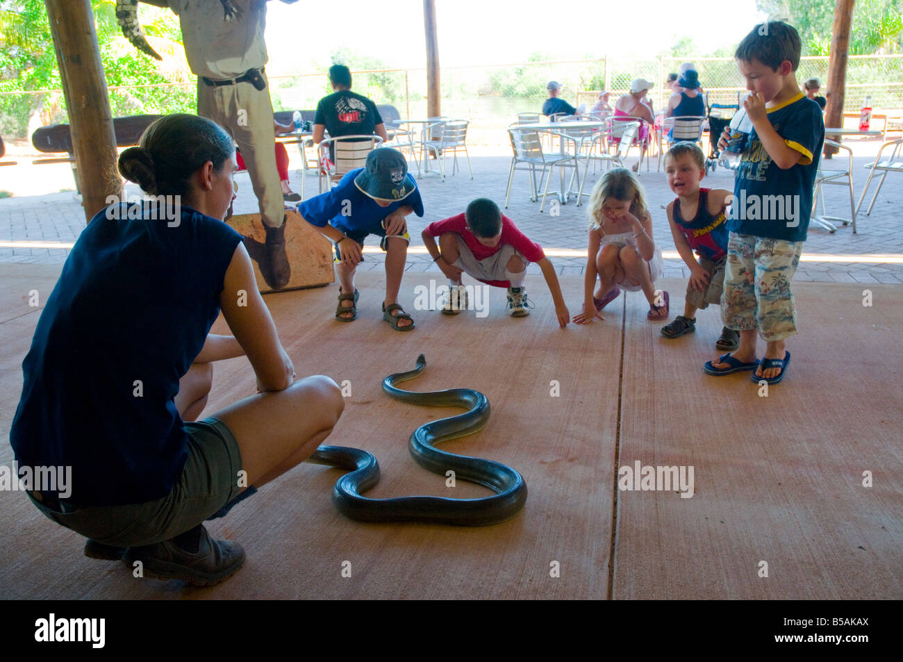 Un ranger della fauna selvatica a Malcolm Douglas Wildlife Park vicino Broome mostra un'oliva python per bambini Foto Stock