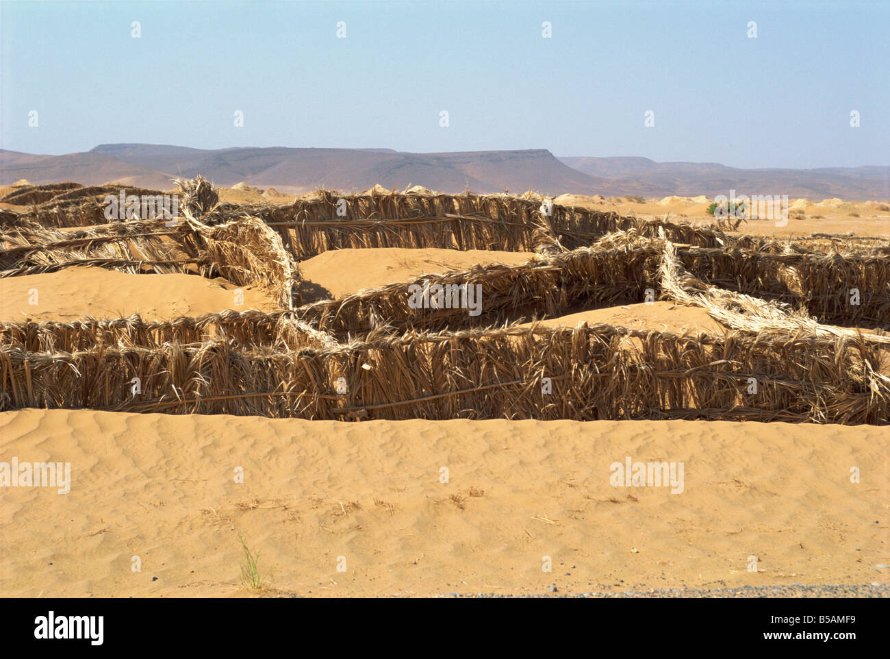Le barriere erette per impedire la deriva di sabbia sulla strada, vicino a Tinejdad, Marocco, Africa Settentrionale, Africa Foto Stock