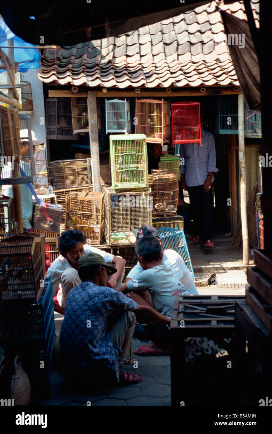 Mercato di uccelli, Jogjakarta, Java, Indonesia, sud-est asiatico Foto Stock