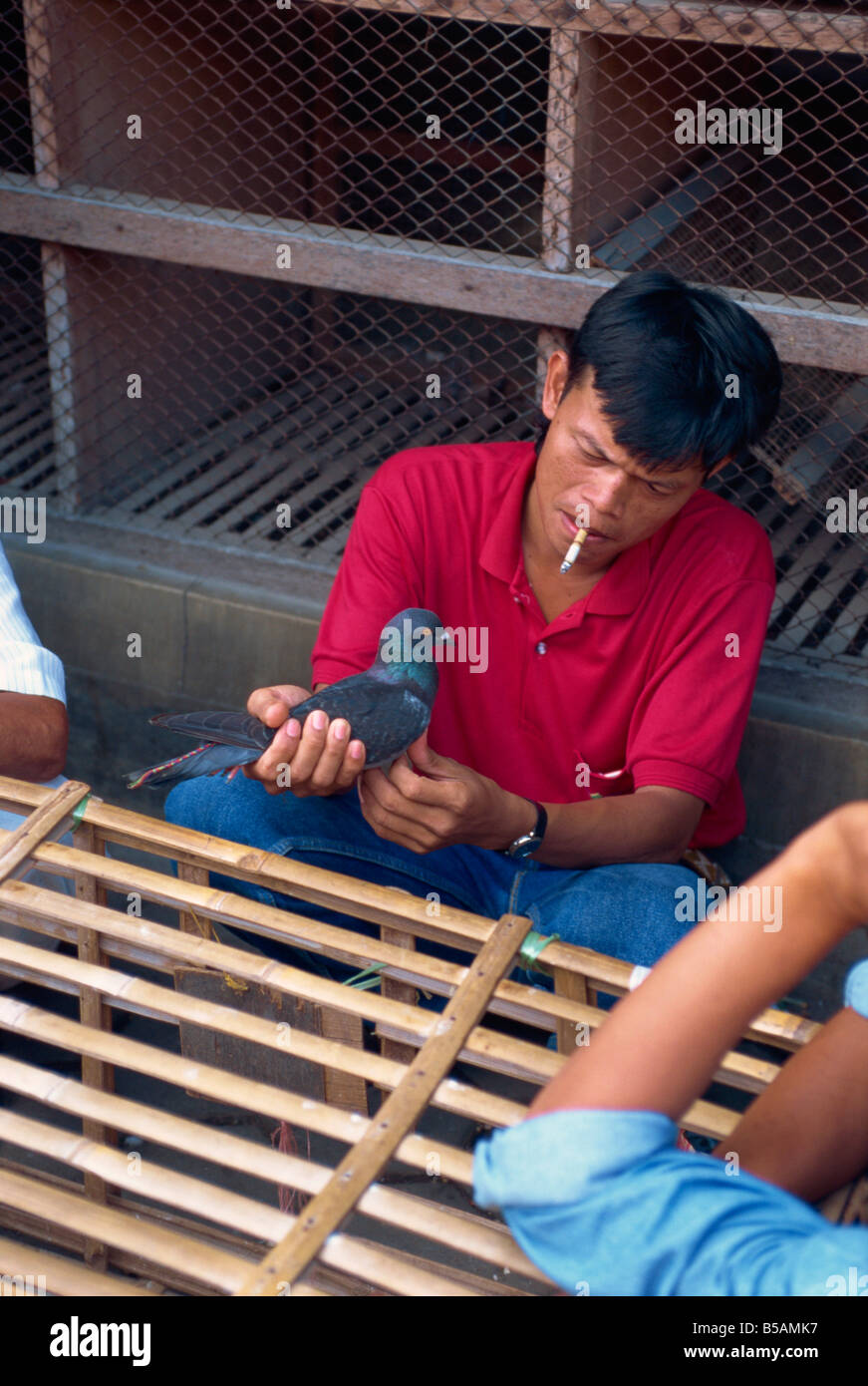 Mercato di uccelli, Jogjakarta, Java, Indonesia, sud-est asiatico Foto Stock