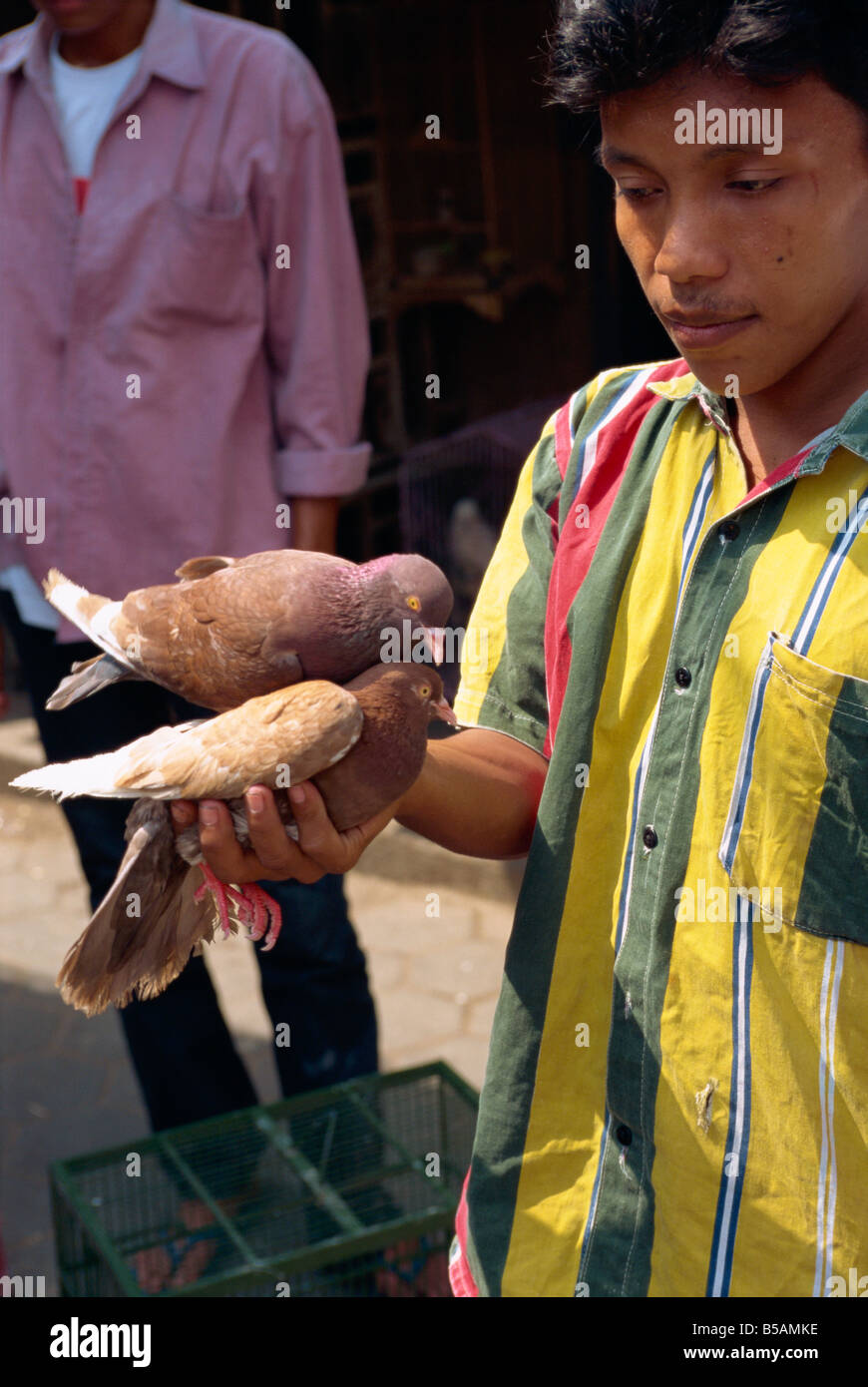 Mercato di uccelli, Jogjakarta, Java, Indonesia, sud-est asiatico Foto Stock