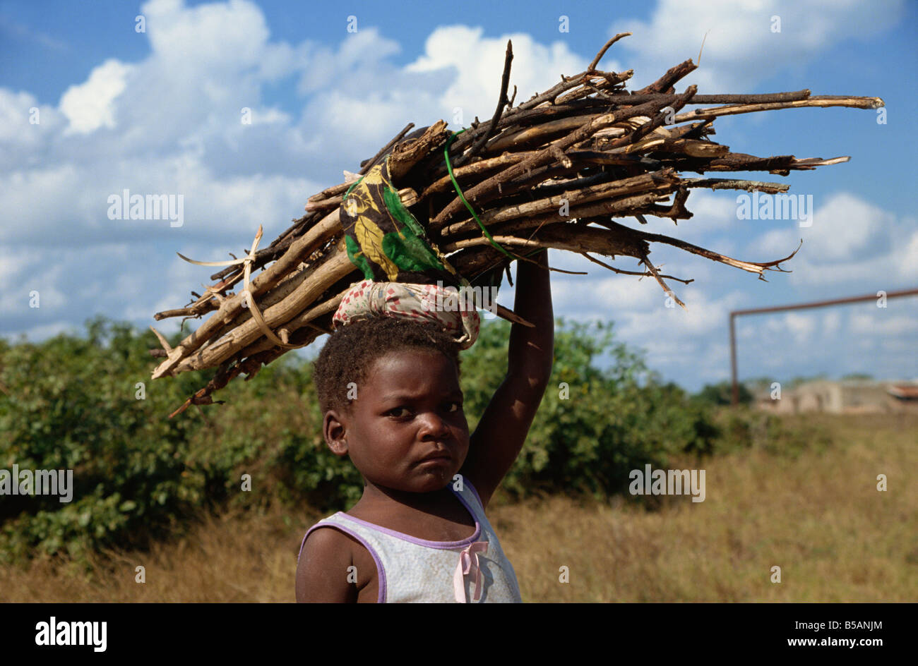 Ragazza che trasportano legna da ardere, Mozambico, Africa Foto Stock