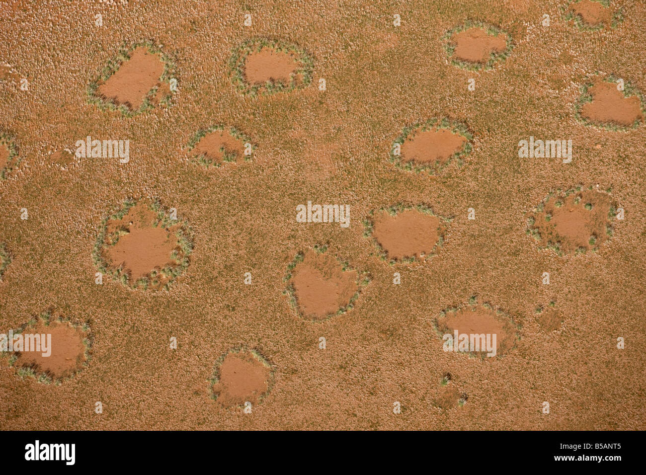 Foto aerea di Magic cerchi, Namib Naukluft National Park, Namibia, Africa Foto Stock
