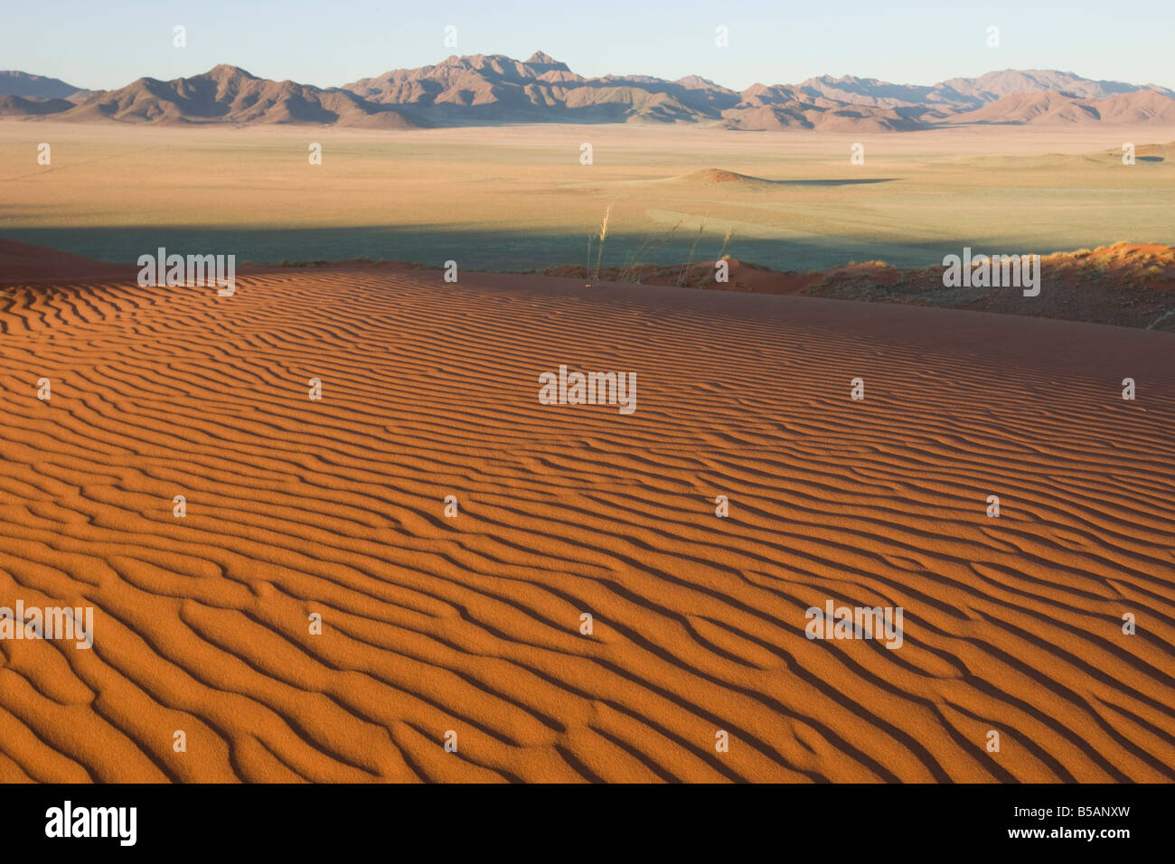 Dune di sabbia, Wolvedans, Namib Rand Riserva Naturale, Namibia, Africa Foto Stock