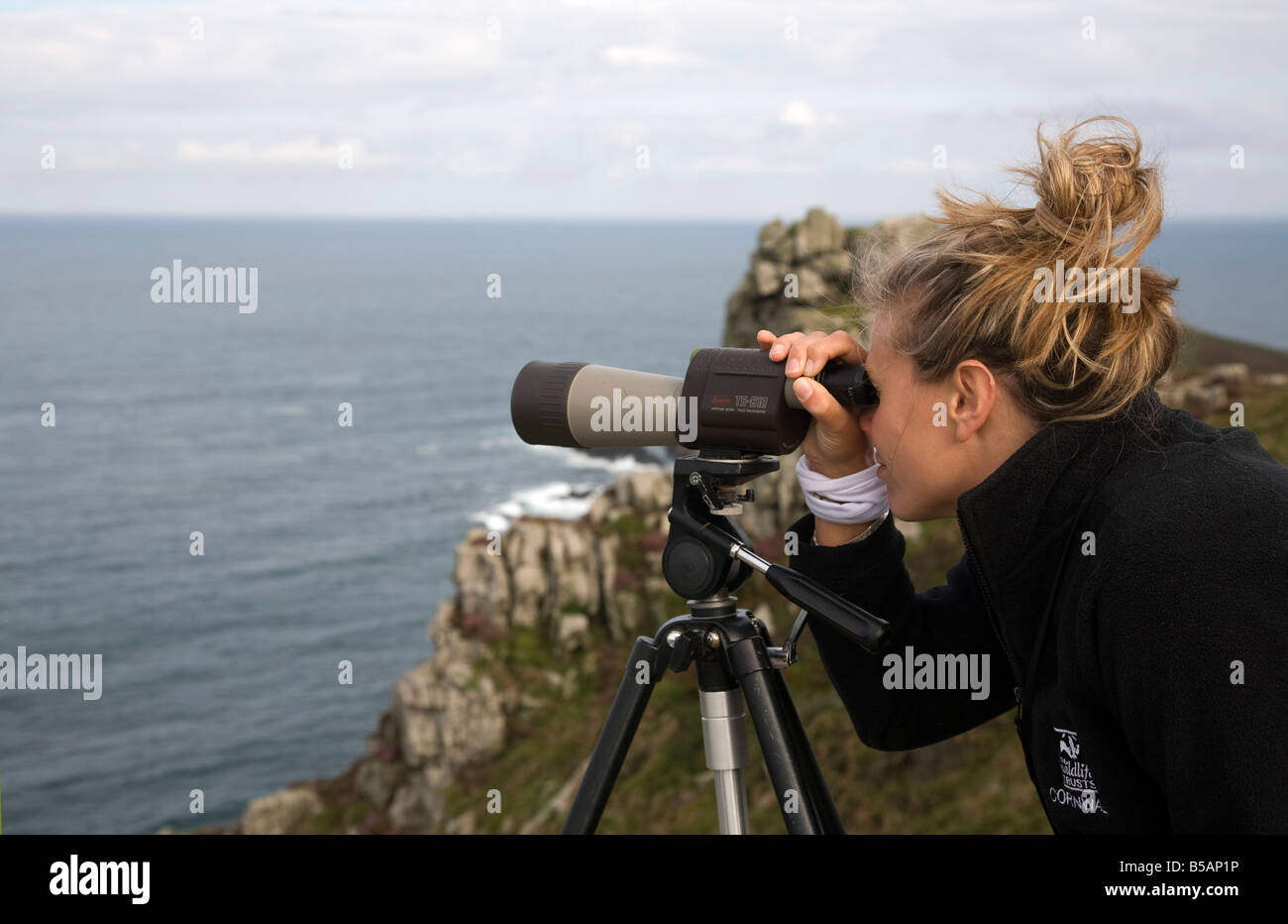 Cornwall wildlife trust cetacean sondaggio da carn gloose Cornovaglia Foto Stock