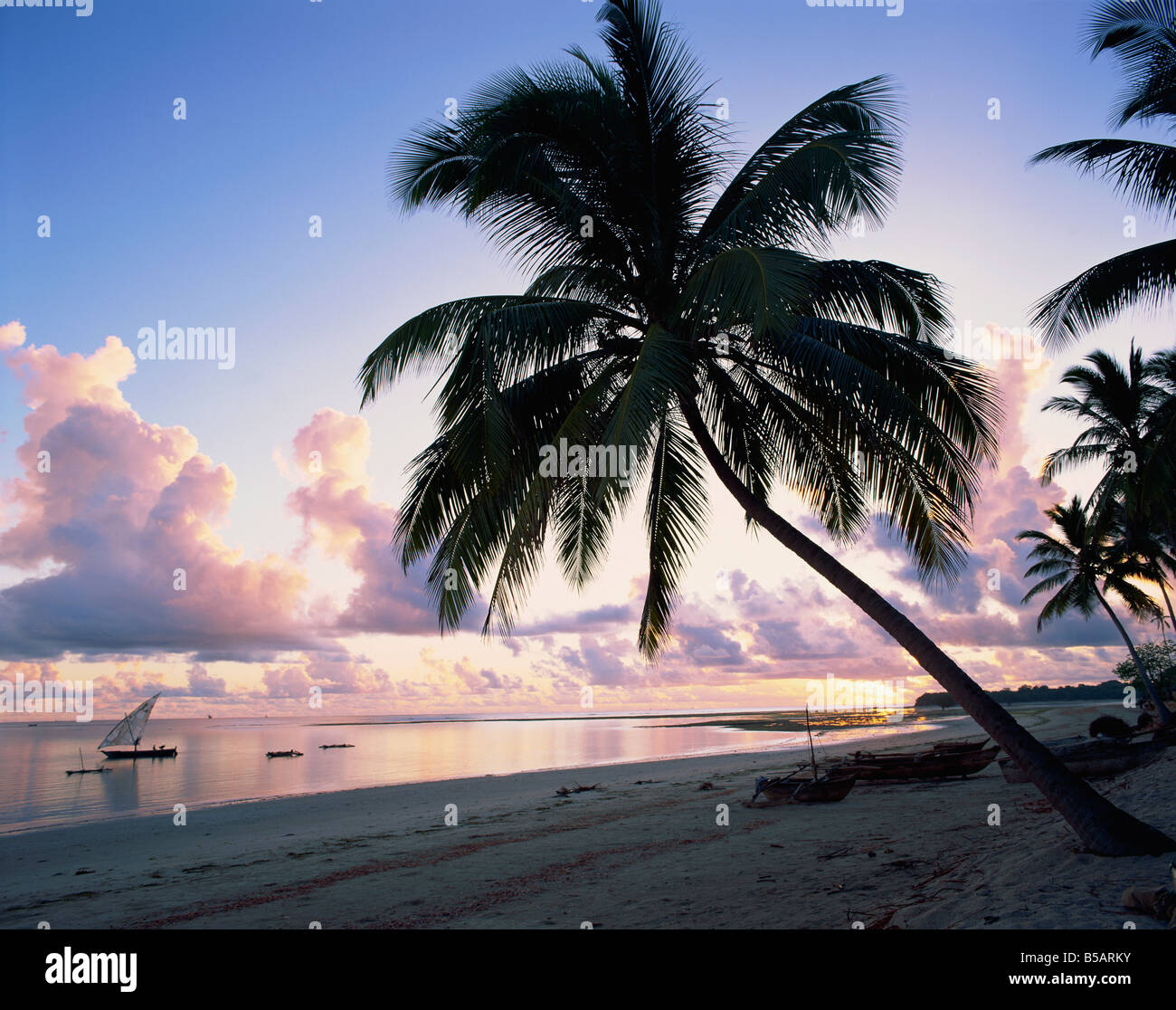 Palm Tree sulla spiaggia tropicale con imbarcazioni offshore all'alba in Tanzania Africa orientale ho Vanderharst Foto Stock