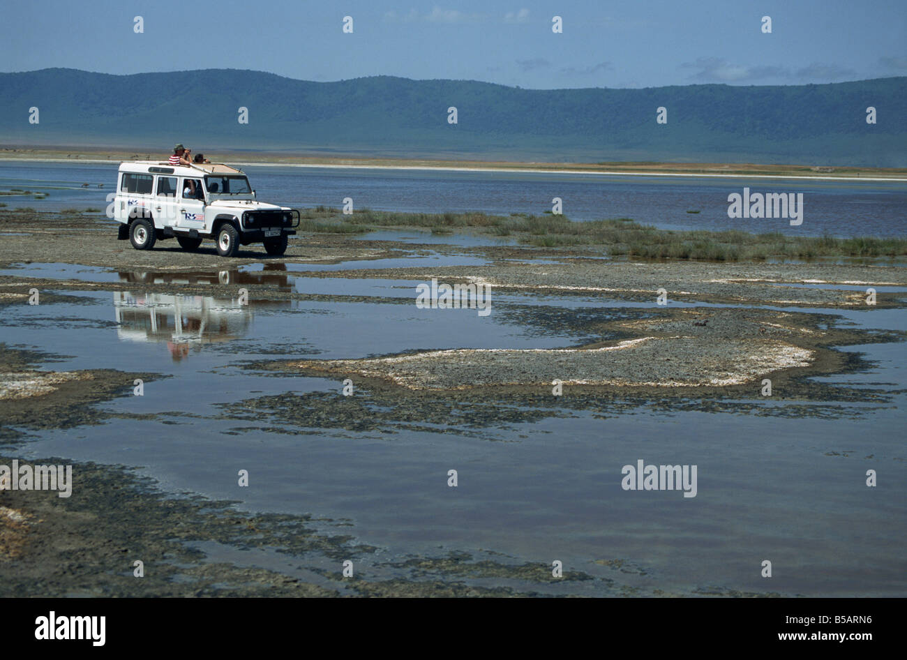 La visione di gioco da Landrover Ngorogoro Crater Lake Magadi in Tanzania Africa D C Poole Foto Stock