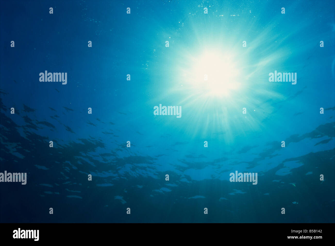 I raggi di luce solare attraverso la superficie da underwater sulle Isole Similan Thailandia L Murray Foto Stock