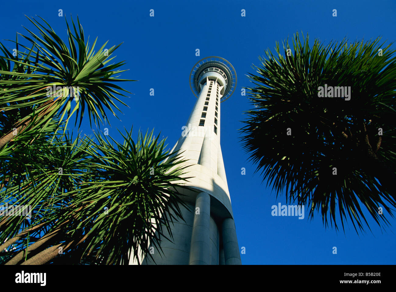 La Sky City Tower, Auckland, Isola del nord, Nuova Zelanda, Pacific Foto Stock