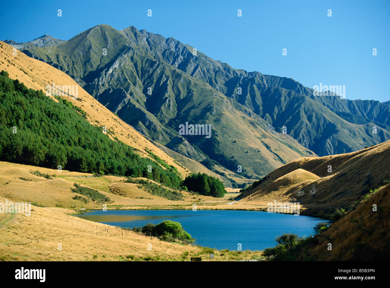 Fuma vicino Lago Queenstown in zona panoramica nella zona ovest di Otago, South Island, in Nuova Zelanda, Pacific Foto Stock