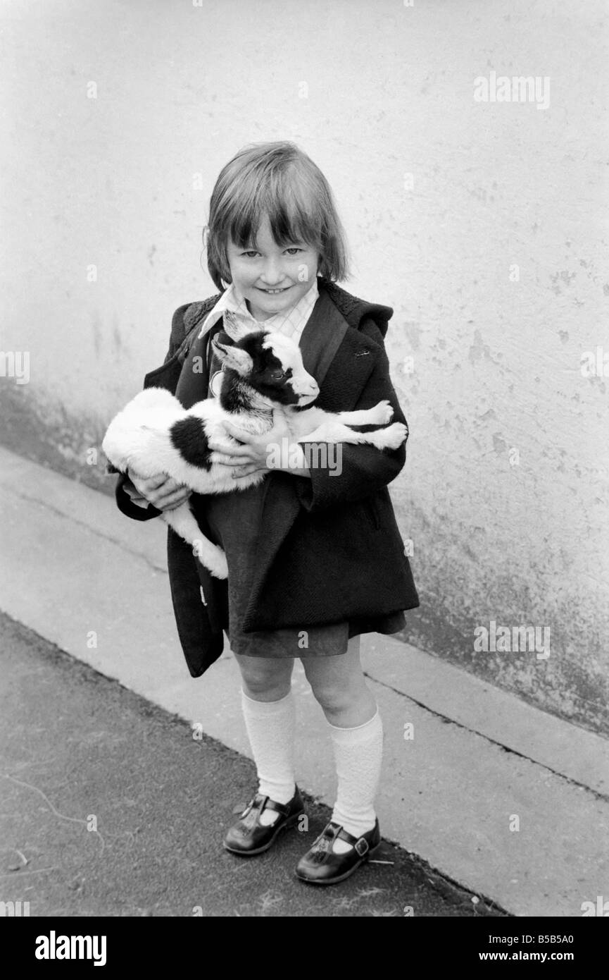 Bambino in possesso di una capra bambino nella sezione da cortile al Crystal Palace childrenÍs Zoo. &#13;&#10;Maggio 1975 Foto Stock